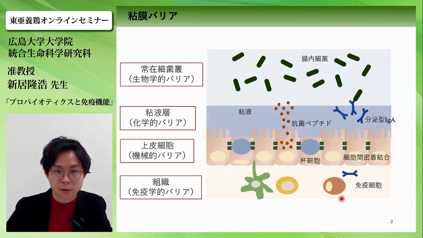 ②粘膜バリアの構造と機能 - プロバイオティクスと免疫機能｜東亜